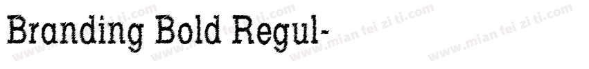 Branding Bold Regul字体转换